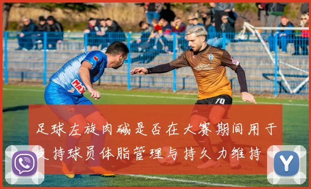 足球左旋肉碱是否在大赛期间用于支持球员体脂管理与持久力维持