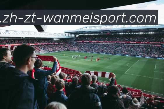 App Interface Preview