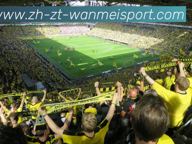 完美体育APP 封面图